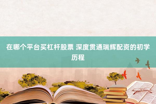 在哪个平台买杠杆股票 深度贯通瑞辉配资的初学历程